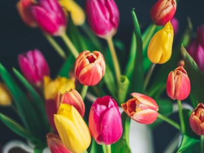 Warna Itu Ada Berapa Sih&nbsp;Sebenarnya?